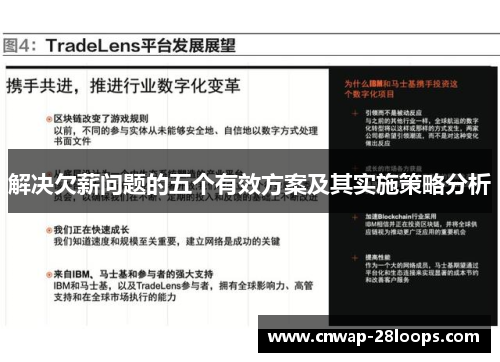 解决欠薪问题的五个有效方案及其实施策略分析