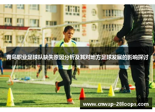 青岛职业足球队缺失原因分析及其对地方足球发展的影响探讨