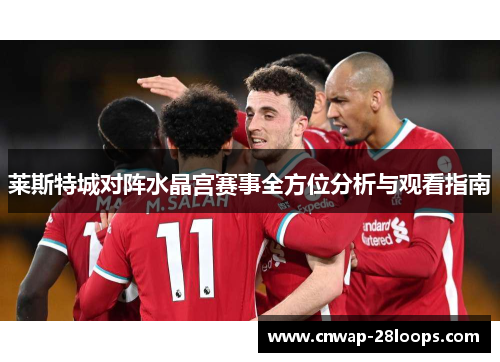 莱斯特城对阵水晶宫赛事全方位分析与观看指南