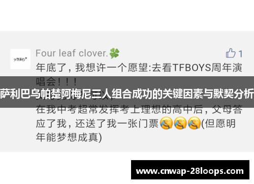 萨利巴乌帕楚阿梅尼三人组合成功的关键因素与默契分析