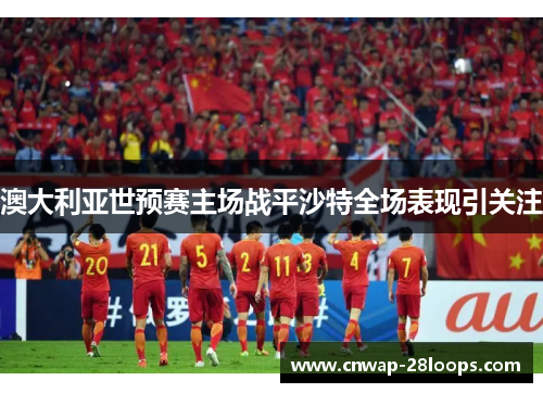 澳大利亚世预赛主场战平沙特全场表现引关注